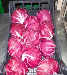 cassetta radicchio